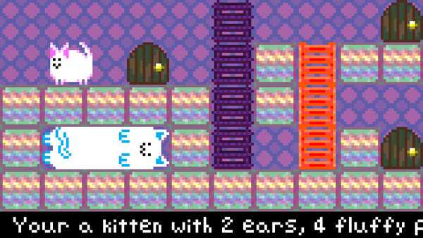 10mg-you-are-such-a-soft-and-round-kitten
