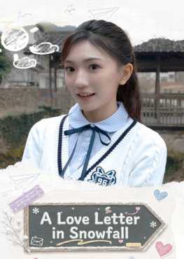 a-love-letter-in-snowfall-viet-hoa