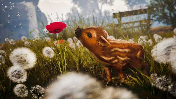 adorable-adventures-viet-hoa
