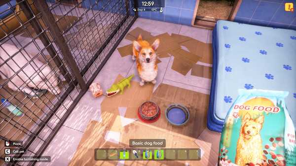 animal-shelter-2