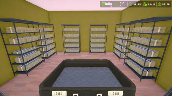bank-simulator-viet-hoa