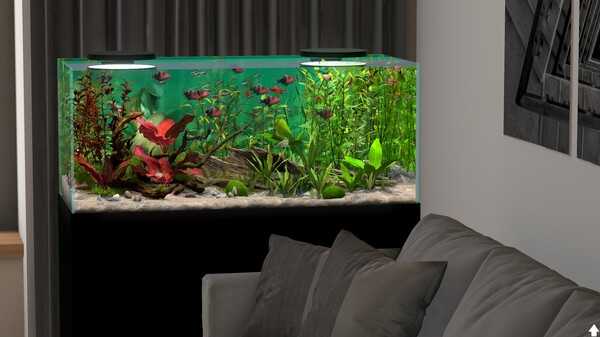 behind-glass-aquarium-simulator