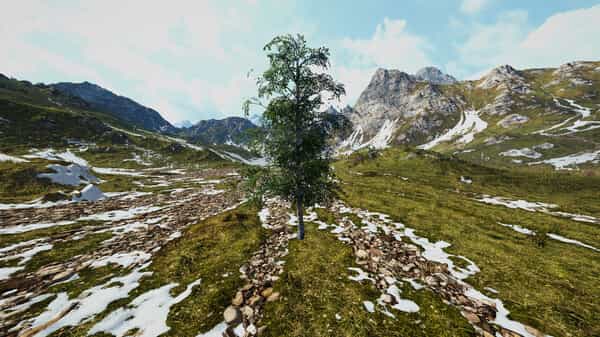 birch-simulator