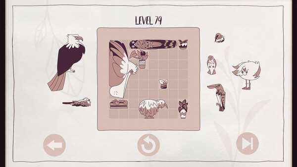 birds-organized-neatly