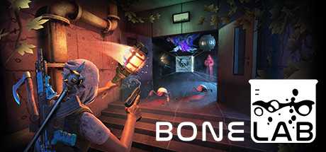 bonelab-build-13636907