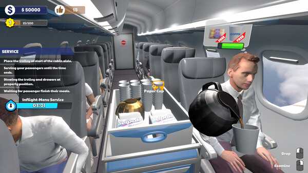 cabin-crew-life-simulator-viet-hoa
