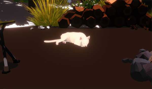 campfire-with-cat-viet-hoa