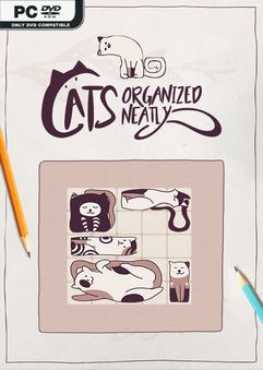 cats-organized-neatly