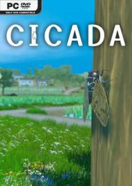 cicada-viet-hoa