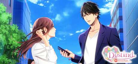 destind-mr-almost-right-viet-hoa