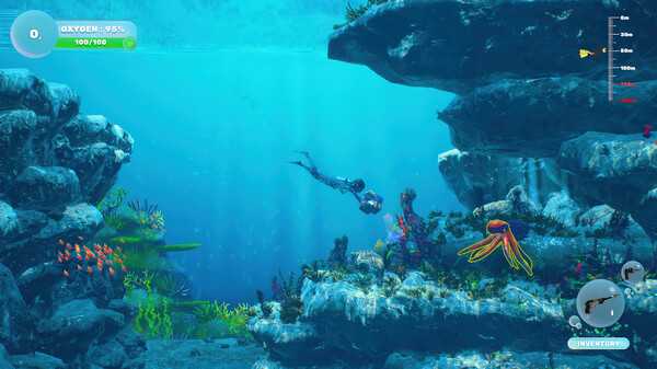 dive-and-dine-simulator-viet-hoa