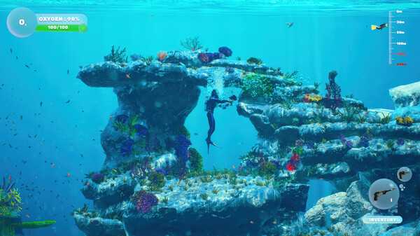dive-and-dine-simulator-viet-hoa