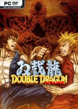 double-dragon-advance