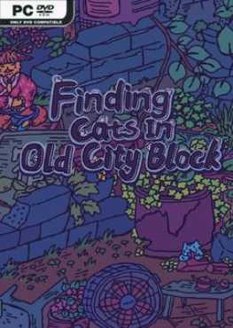 finding-cats-in-old-city-block