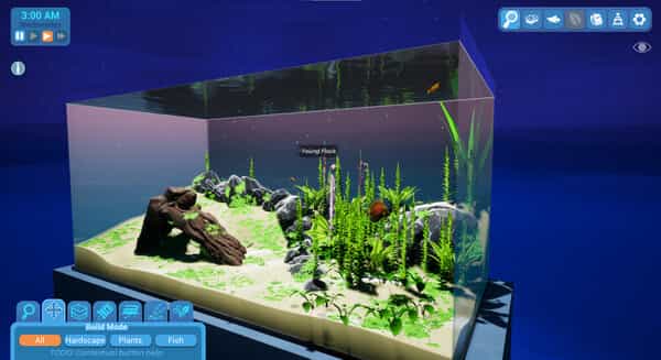 fish-game