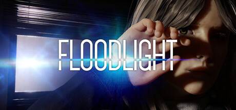 floodlight-viet-hoa