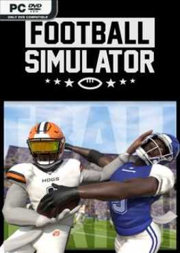 football-simulator-build-16130513-viet-hoa