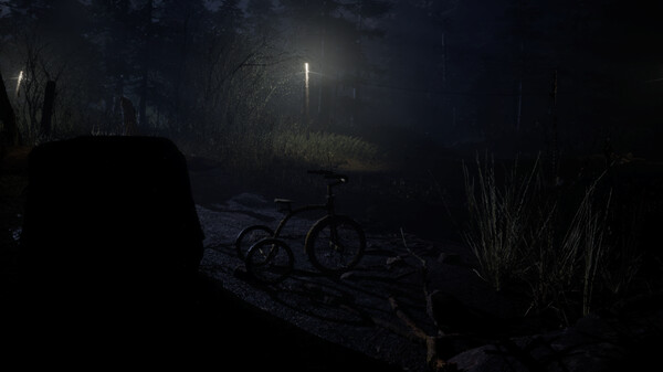 forest-6174