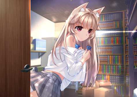fox-hime-viet-hoa