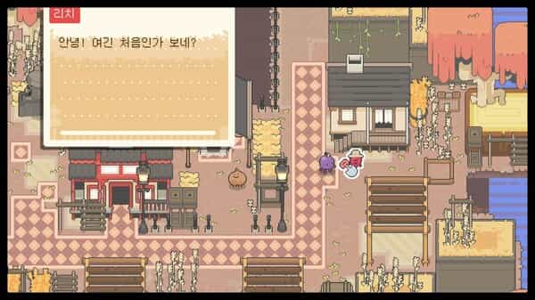 garden-story-build-12616190