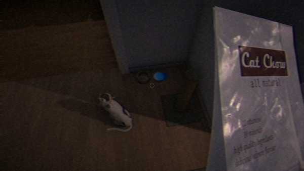 he-followed-me-viet-hoa