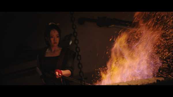 hua-manlou-viet-hoa