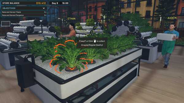 hydroponics-farm-store-simulator-viet-hoa