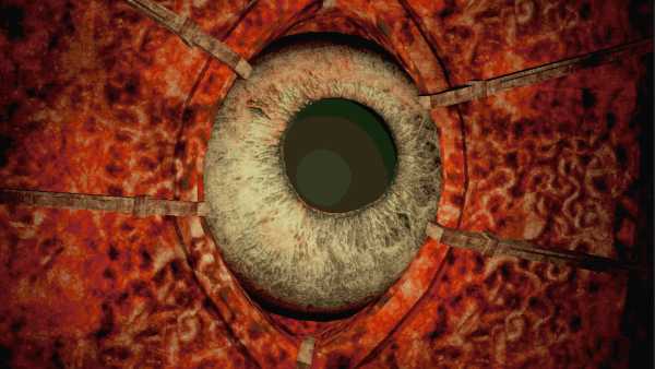 inside-the-flesh-engine-viet-hoa