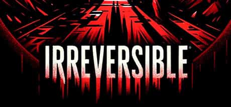 irreversible-viet-hoa