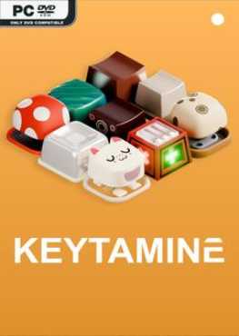 keytamine-viet-hoa