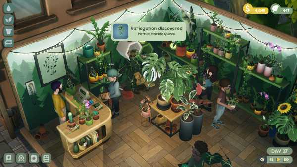 leafy-corner