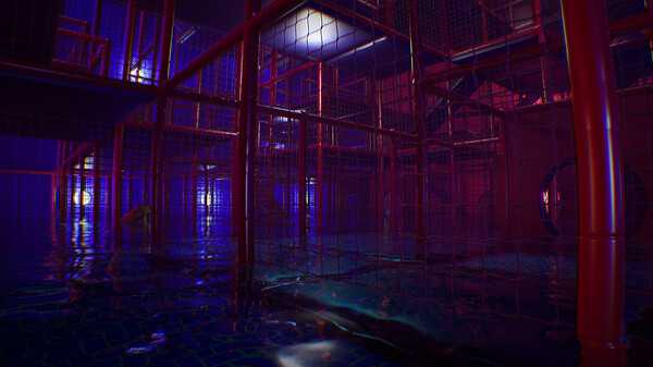 liminal-shift-viet-hoa