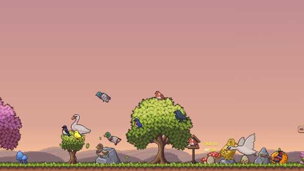Little Aviary