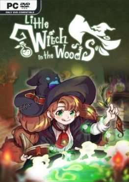 little-witch-in-the-woods-build-14400103