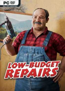 low-budget-repairs-viet-hoa