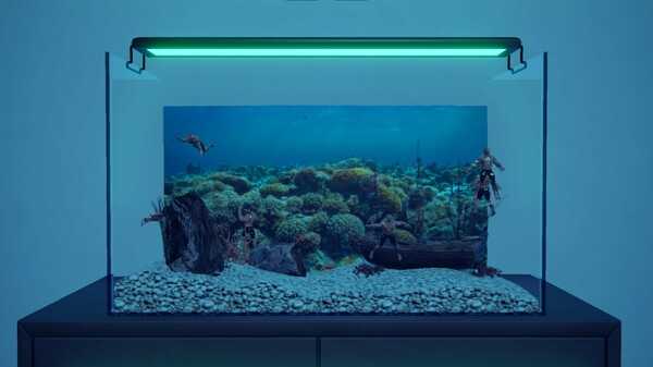 machorium-muscle-aquarium-simulator-viet-hoa