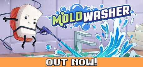 moldwasher