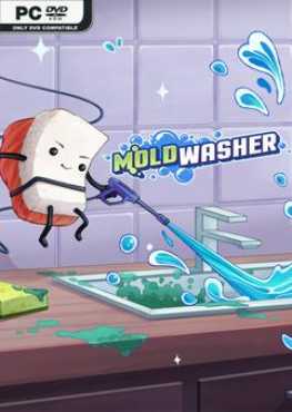 moldwasher