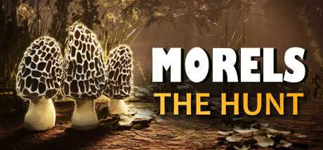 morels-the-hunt