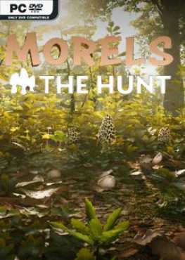 morels-the-hunt