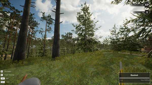 mushroom-hunter-world