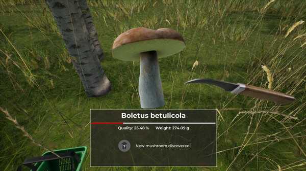 mushroom-hunter-world