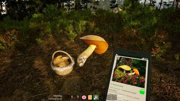 mushroom-season