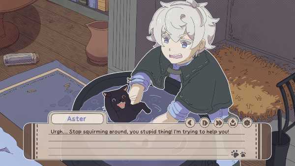 my-confounding-cat-is-criminally-cute