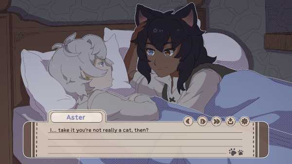 my-confounding-cat-is-criminally-cute