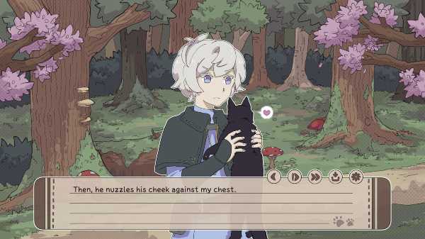 my-confounding-cat-is-criminally-cute