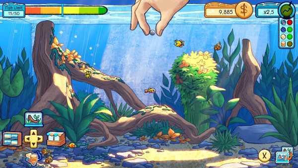 my-cozy-aquarium-viet-hoa