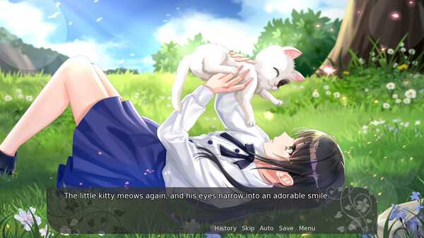 my-fair-cat-snow-viet-hoa