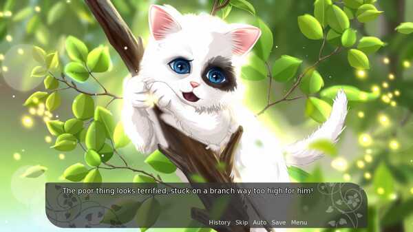my-fair-cat-snow-viet-hoa