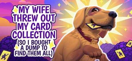 my-wife-threw-out-my-card-collection-viet-hoa